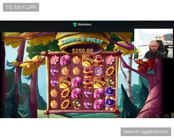 PG电子模拟器免费版功能介绍及使用技巧，提升你的游戏竞技水平